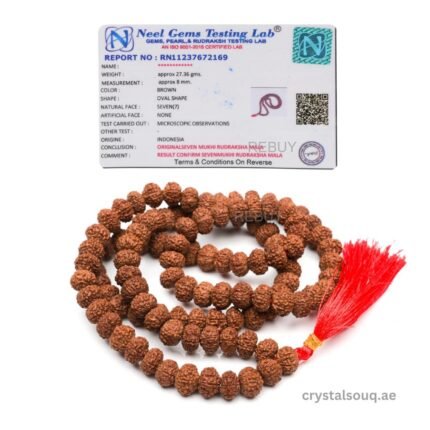 REBUY 7 Mukhi Redraksha Mala