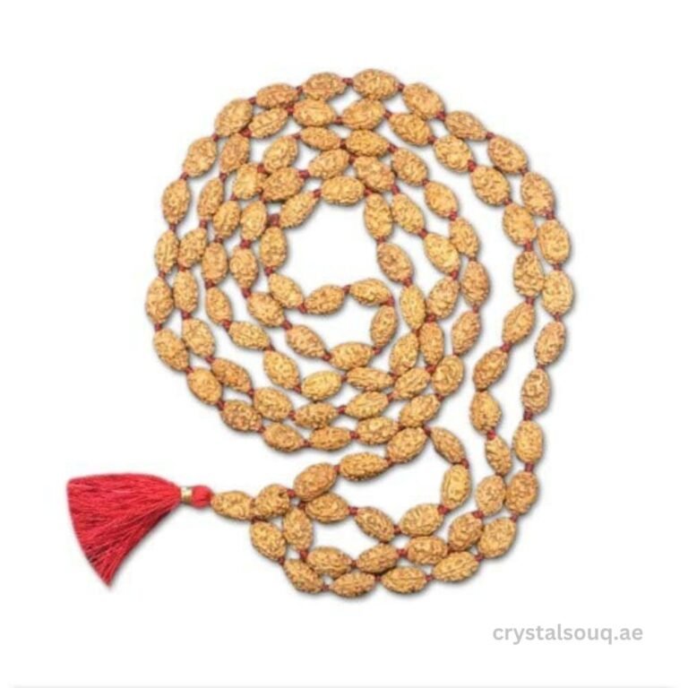 REBUY 2 Mukhi Rudrakhsha Beads Mala 108 +1 Beads Japa/Japa Mala