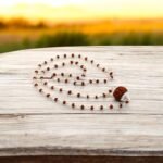 5 Mukhi Rudraksha Original Silver Mala for Men & Women | Length 24 Inch Authentic Healing & Spiritual Beads | Energized Sacred Beads for Meditation, Prayer, and Wellness - Image 4
