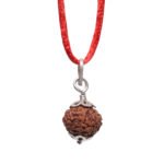 REBUY Natural Rudraksha Pendant 5 Mukhi Bead Pendant