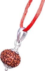 Lab Certified 10 Mukhi Rudraksha Pendant (Indonesian) – Lord Vishnu Bead for Protection & Inner Peace - Image 7