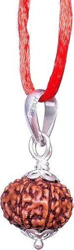 Lab Certified 10 Mukhi Rudraksha Pendant (Indonesian) – Lord Vishnu Bead for Protection & Inner Peace - Image 2