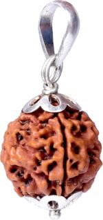 Lab Certified 7 Mukhi Rudraksha Pendant (Nepali) – Mahalakshmi Bead for Wealth, Abundance & Shani Dosha Relief - Image 2