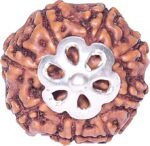 REBUY 7 Mukhi Rudraksha Bead
