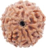 REBUY 10 Mukhi Rudraksha Bead
