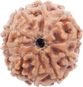 REBUY 10 Mukhi Rudraksha Bead