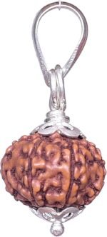 Lab Certified 8 Mukhi Rudraksha Pendant (Indonesian) – Lord Ganesha Bead for Success, Intellect & Removing Obstacles - Image 3