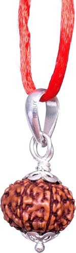 Lab Certified 9 Mukhi Rudraksha Bead (Indonesian) – Navadurga Pendant for Confidence, Courage & Decision Making - Image 3