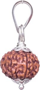 8 Mukhi Indonesian Rudraksha Pendant