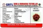 REBUY Five Mukhi Rudraksha Bead
