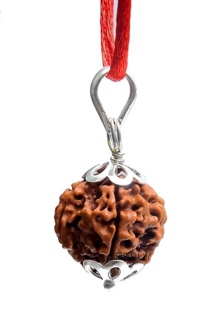 REBUY 6 Mukhi Rudraksha Pendant
