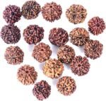 Lab Certified 7 Mukhi Rudraksha Pendant (Nepali) – Mahalakshmi Bead for Wealth & Shani Dosha Relief - Image 4