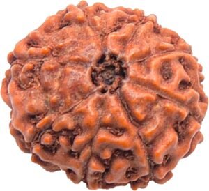 8 Mukhi Indonesian Rudraksha Pendant