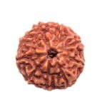 Lab Certified 9 Mukhi Rudraksha Bead (Indonesian) – Navadurga Pendant for Confidence, Courage & Decision Making - Image 4