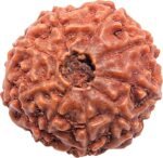 Lab Certified 9 Mukhi Rudraksha Bead (Indonesian) – Goddess Durga (Navadurga) Pendant for Confidence & Power - Image 6