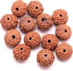 Lab Certified 9 Mukhi Rudraksha Bead (Indonesian) – Navadurga Pendant for Confidence, Courage & Decision Making - Image 5