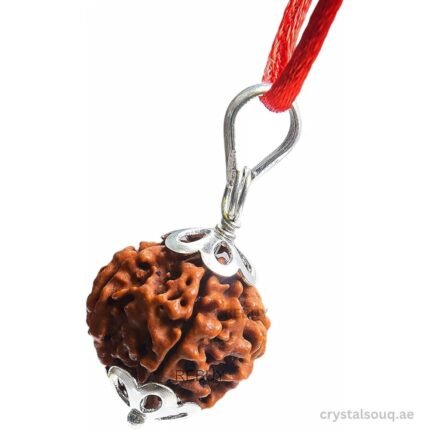 REBUY 6 Mukhi Rudraksha Pendant