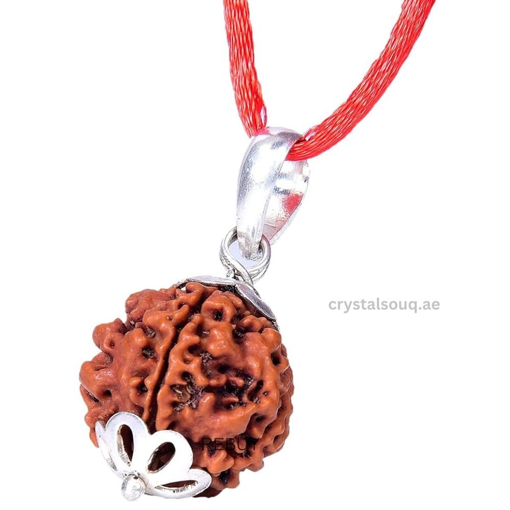 7 Mukhi Nepali Rudraksha Pendant 7 Mukhi Nepali Rudraksha Pendant