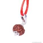 REBUY 9 Mukhi Rudraksha Pendant
