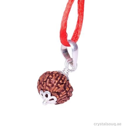 REBUY 9 Mukhi Rudraksha Pendant