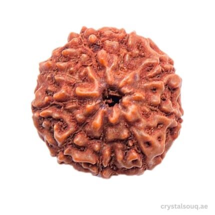 REBUY 9 Mukhi Rudraksha Bead