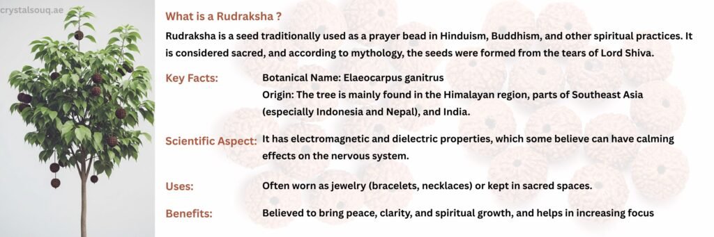 REBUY Rudraksha Page