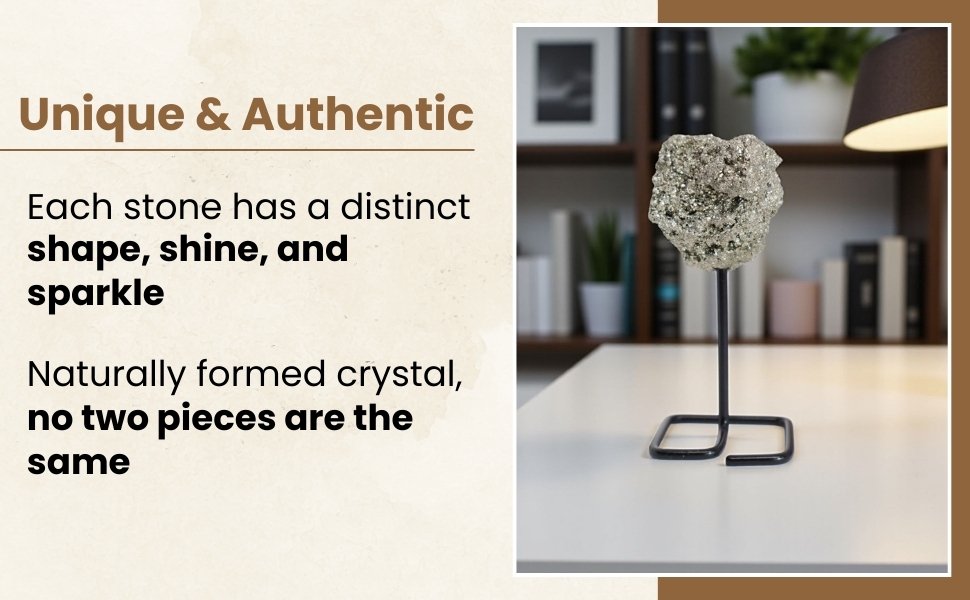 Pyrite stone on stand displayed cleanly in front of a shelf to show unique natural shape