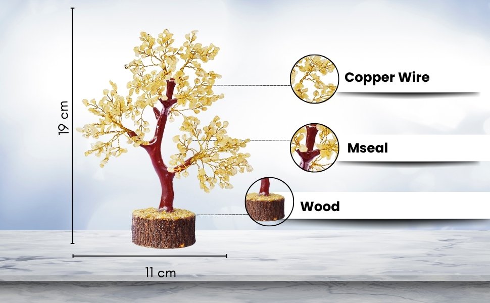 Citrine Tree Dimensions and Anatomy
